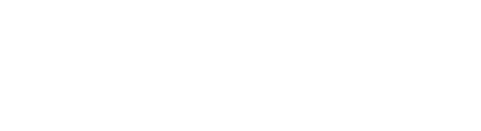 NTT Data Logo